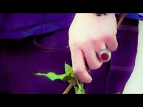 S S Styopa гами мора рахокуна 2021