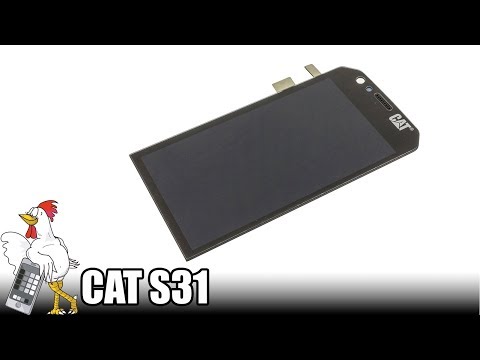 Guía del CAT S31: Cambiar pantalla completa
