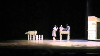 Westie Wiz Toto 1 Molly's entrance.mov