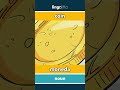 coin - moneda video thumbnail