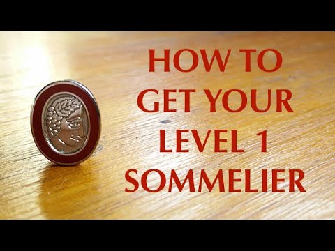 How to get your Level 1 Sommelier - Passing the Level 1 Sommelier Exam