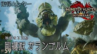 #59 【復帰ハンター】モンスターハンターライズ 実況プレイ