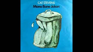 Cat Stevens - I Think I See the Light