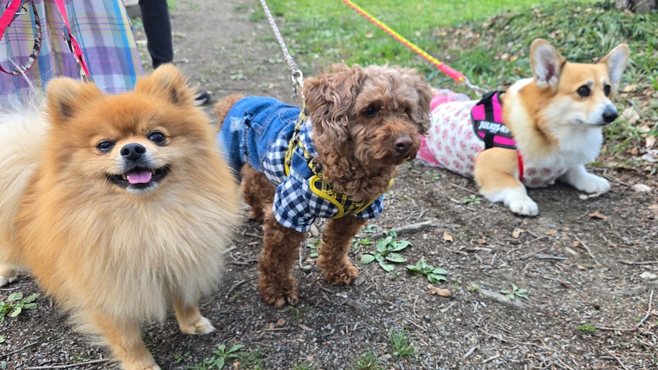 偶然 始まった オフ会の帰り道🤣