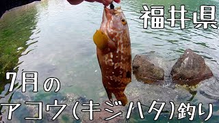 若狭湾 夏の福井でアコウ キジハタ ガシラのルアー釣り 日本海 若狭湾のライトゲーム ライトロックフィッシュ موقع ويب حيث يمكنك مشاهدة مقاطع فيديو موسيقية مجانية 若狭湾 夏の福井でアコウ キジハタ ガシラのルアー釣り 日本海 若狭湾のライトゲーム ライトロックフィッシュ موقع ويب حيث يمكنك مشاهدة مقاطع فيديو موسيقية مجانية