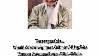 Download lagu story wa / WhatsApp islami || habib Umar bin hafidz 😍 mp3 Download lagu story wa / WhatsApp islami || habib Umar bin hafidz 😍 mp3
