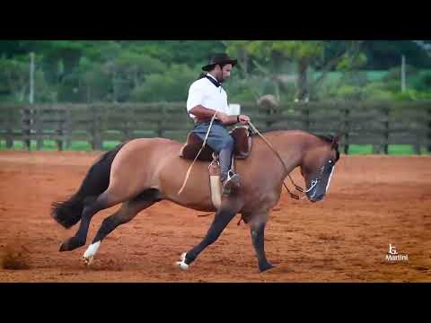 JUSTICEIRO DA CABANHA SANTA FÉ