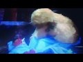 Christina Mistreeta S Favorite Part From Sesame Street Episode 3913