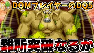 【DS版DQ5】DQM4開発決定！原作を完全初見で予習していく生配信-Part2-【LIVE】