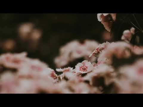 DJ AroZe & Mimram - Closer Ft. Luke Coulson (Morttagua Extended Remix) [Timeless Moment]