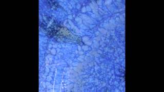 Bobby Fuller Four - A New Shade of Blue