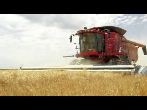 Mennonite Road Community Harvest - Charles & Twila Seibert Family