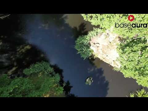 Base Aura Films video.