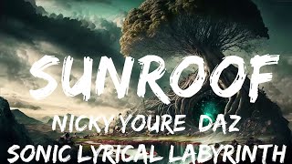 Download lagu Nicky Youre, dazy - Sunroof (Lyrics) | 30mins with Chilling music mp3 Download lagu Nicky Youre, dazy - Sunroof (Lyrics) | 30mins with Chilling music mp3