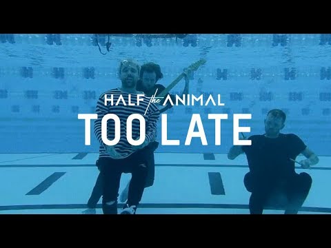 Half the Animal - Too Late (Official Music Video)