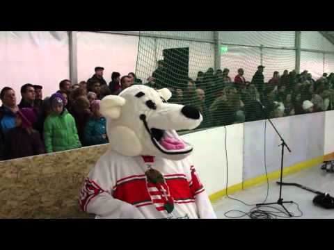 Ajkai Óriások Jégkorong Klub induló