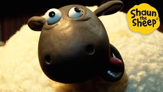Crazy Sheep! 🐑 Shaun the Sheep 🐑 - Cartoons for Kids 🐑 Full Episodes Compilation [1 hour]