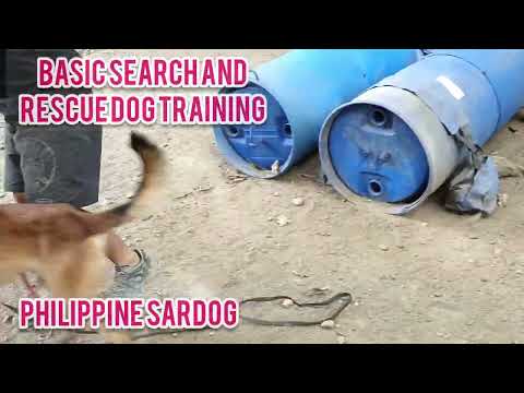 basic training SARDOG, Bark Barrel