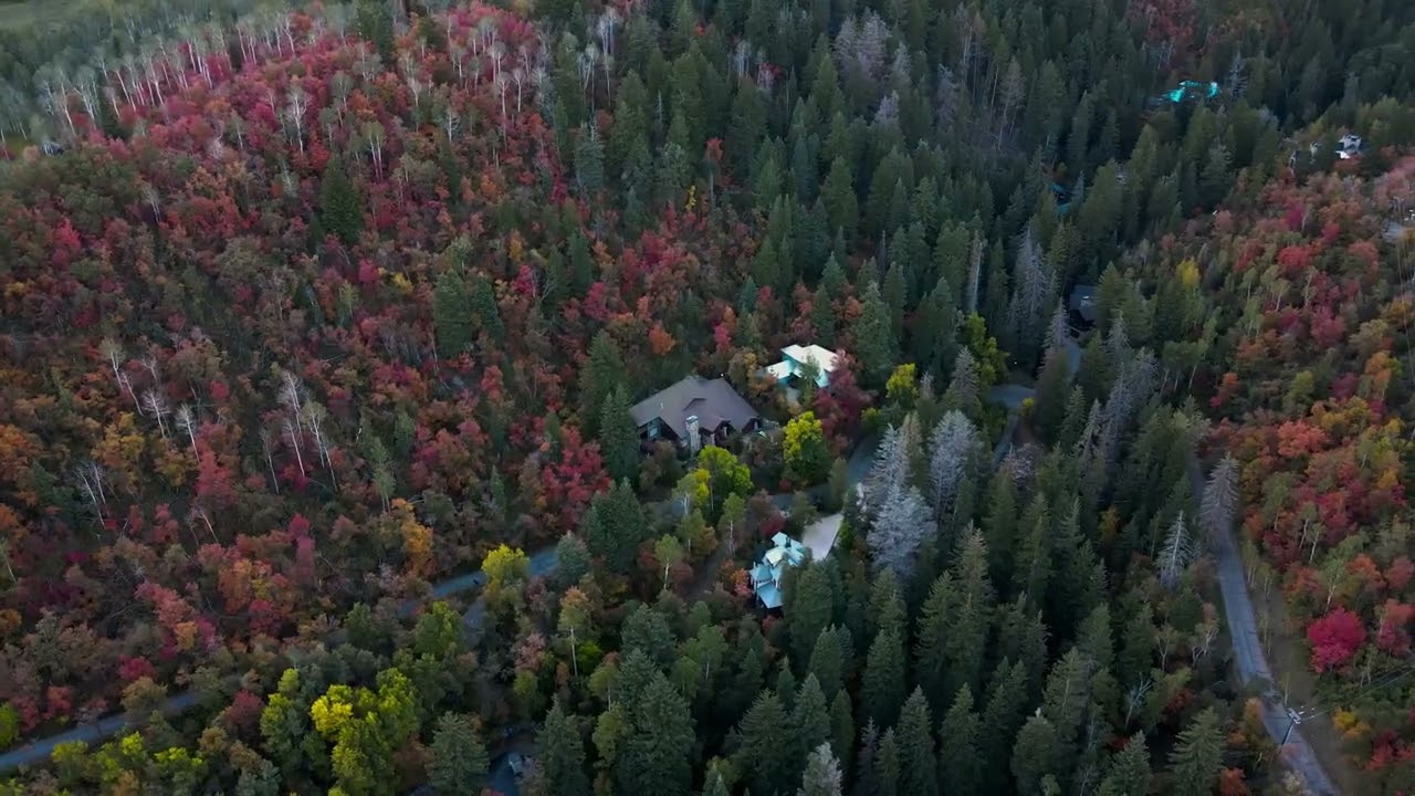 Aerial clip