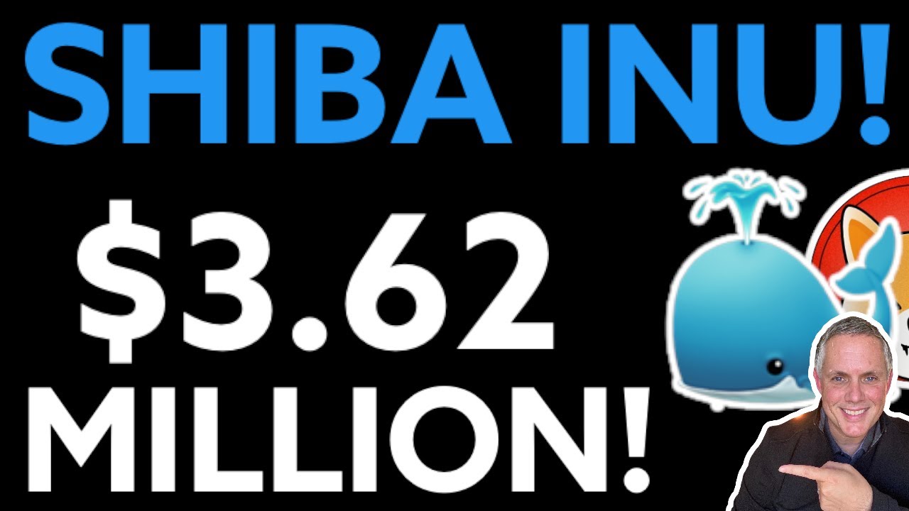 ANOTHER $3.62 MILLION WORTH OF SHIBA INU! SHIBA INU COIN HOLDERS! (SHIBA INU COIN NEWS TODAY)