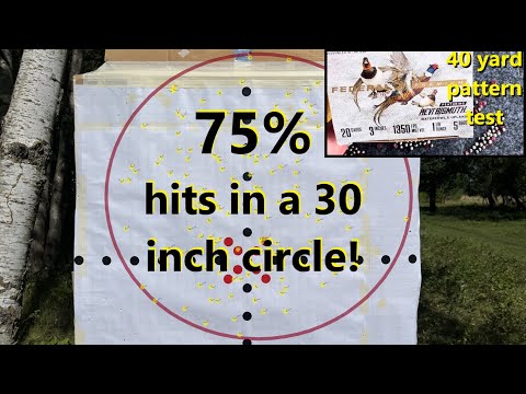 Federal Premium Hevi Bismuth 20 gauge 1\u00261/8oz 5 shot 40 yard pattern test w. Stevens 555 O/U shotgun
