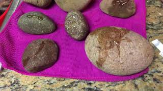 Getting Started Painting Rocks