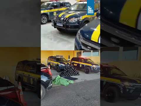 PRF APREENDE 51 Kg DE SKUNK, A "SUPERMACONH^A", EM PETROLINA - PE