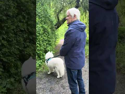 Spaziergang mit Thor🐶