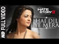 Hai Dil Ye Mera Full Song Arijit Singh Hate Story 2 Jay Bhanushali Surveen Chawle