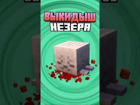 Майнкрафт ВЫКИДЫШ НЕЗЕРА #minecraft #shorts