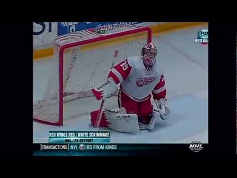 Jimmy Howard shutting down Brunner, Zetterberg, Emmerton, Kronwall and Nyquist in the Shootout