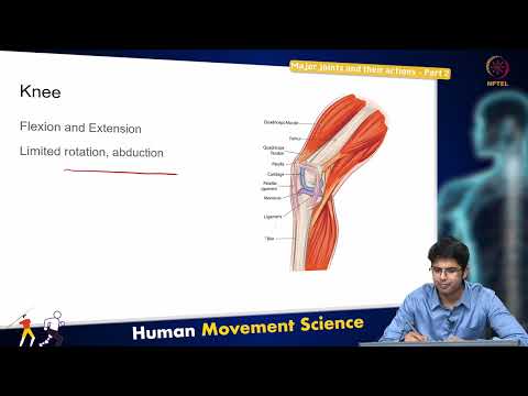 Major joints and their actions - Part 2