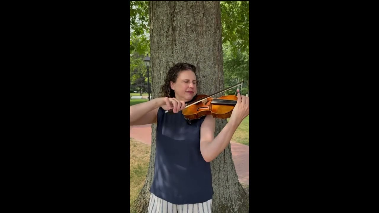 Promotional video thumbnail 2 for The Trillium Trio
