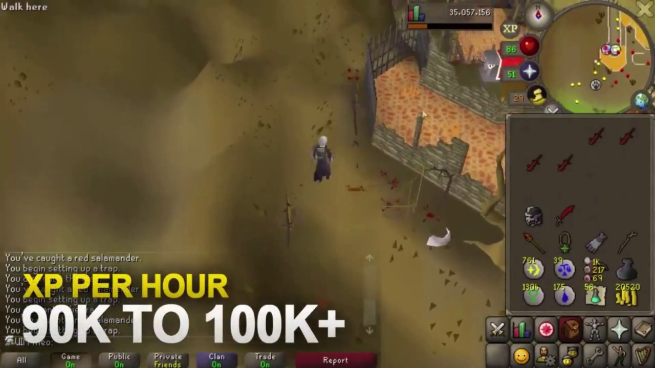How to catch Red Salamanders (OSRS Hunter Guide) - 100k xp/hr