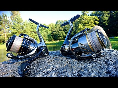 Shimano Vanquish16 VS Stella14 (after 2 seasons)