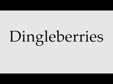 How to Pronounce Dingleberries