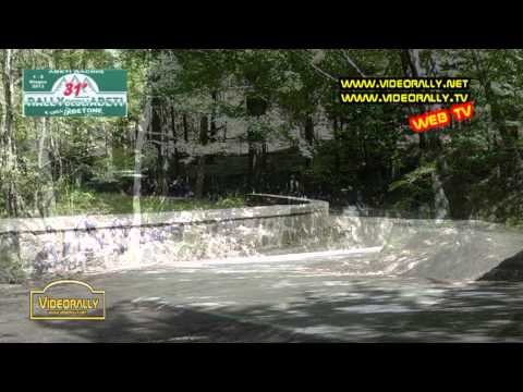 rally abeti 2013 anteprima videorally