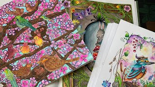 Completed pages for March 2026 | Adult colouring