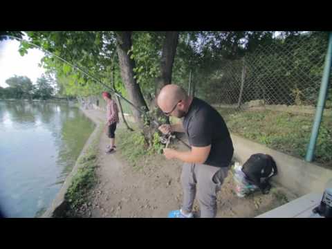 Bashmotion Vlog 175 - за риба