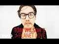 Tom Wilson What A Bummer Official Audio
