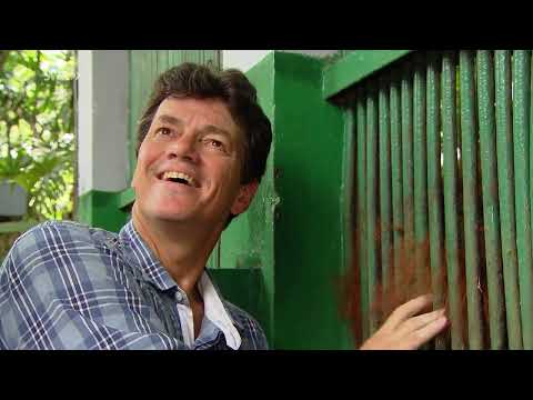 Die Retter der Orang Utans - Dokumentation Deutsch 2024