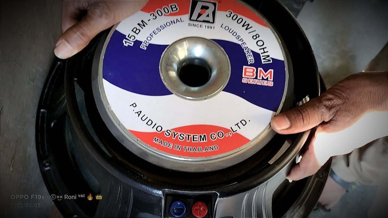 p audio 15 inch 300 watt speaker price details and review || 300 watt BM series model