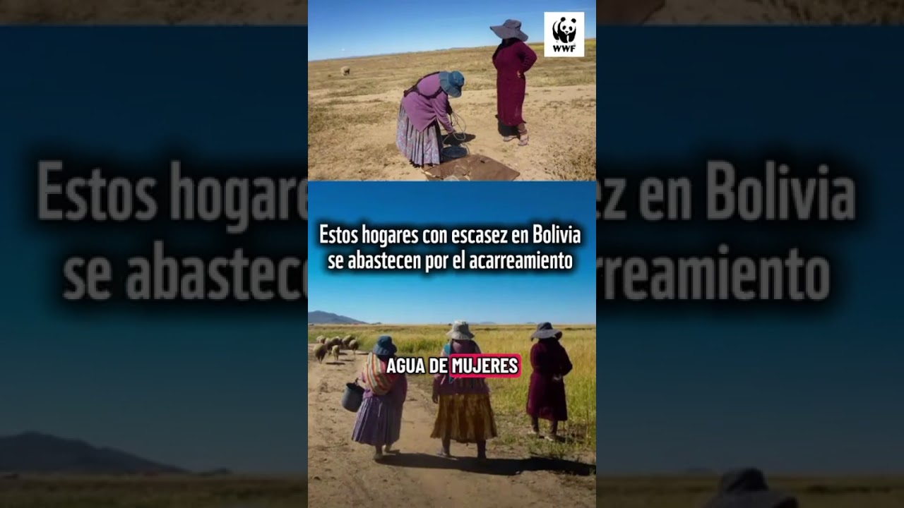 Agua e igualdad de género #diamundialdelagua