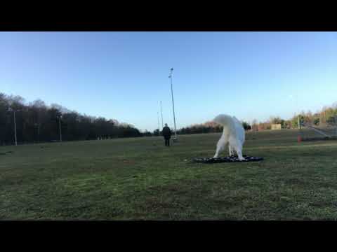 TDCH - 6 (b) distansarbete (distance)