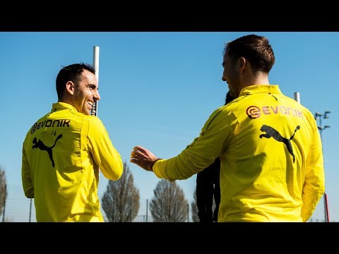 Witsel, Alcácer and Götze are back on the pitch | Borussia Dortmund Training