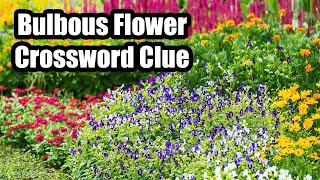 Cracking the Crossword: Unveiling the Bulbous Flower Clue