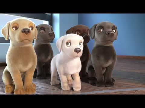 การ์ตูนสั้น หมาน้อยผู้กล้าหาญ 🐶 - เต็มเรื่อง HD การ์ตูน อนิเมชั่น สนุกๆ ข้อคิดดีๆ