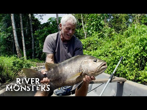 River Monsters Full Episode - Season 9, Episode 1 - Volcanic Island Terror