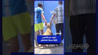 أجواء عيد الأضحى بأزقة مدينة شفشاون thumbnail