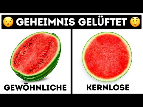 , title : 'Wie kernlose Früchte wachsen und 25 gelüftete Geheimnisse'